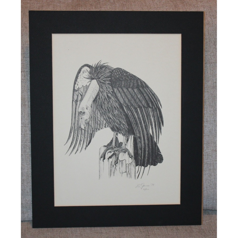 VTG 1978 H.L. Jones CA Condor Lithograph Print of pen & ink 10/100 Signed 12x16